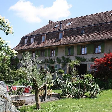 Ofenhaus Villa Murten Dış mekan fotoğraf