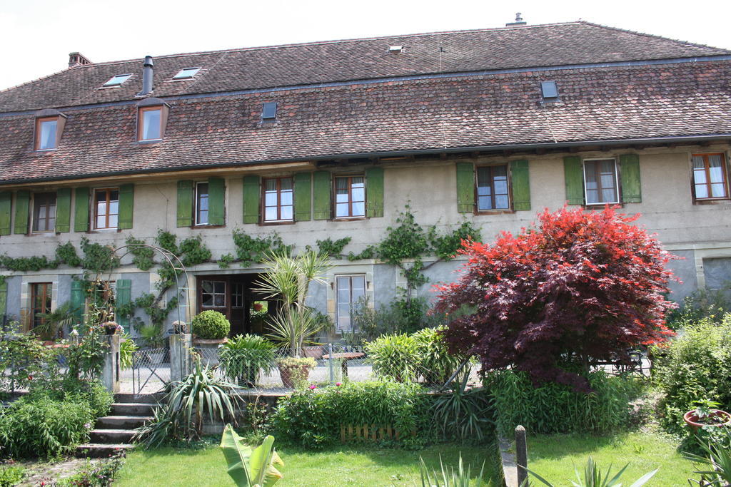 Ofenhaus Villa Murten Oda fotoğraf